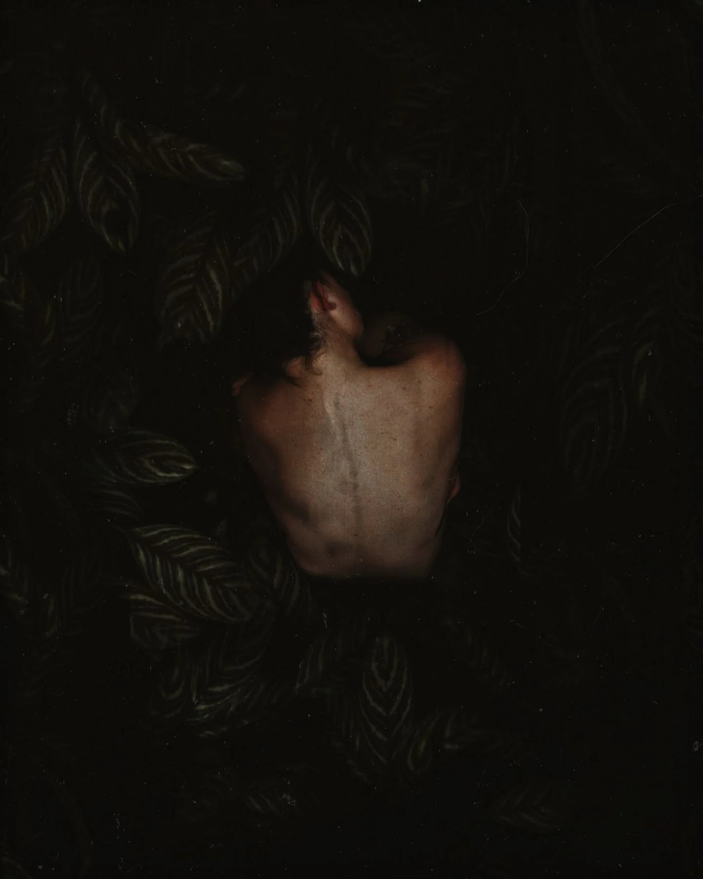 Revival | Photography