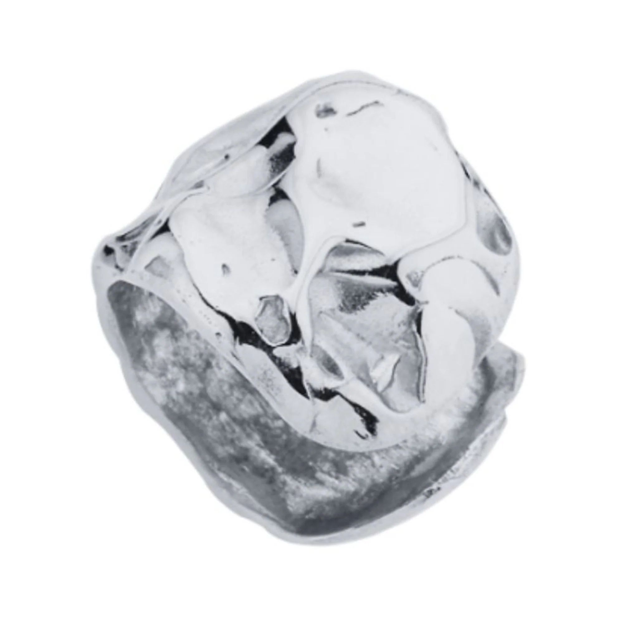 Amorphous Cartilage Earrings | Silver